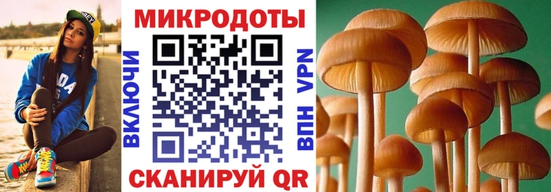 МЕГА ссылки  Салаир  Псилоцибиновые грибы Magic Shrooms 
