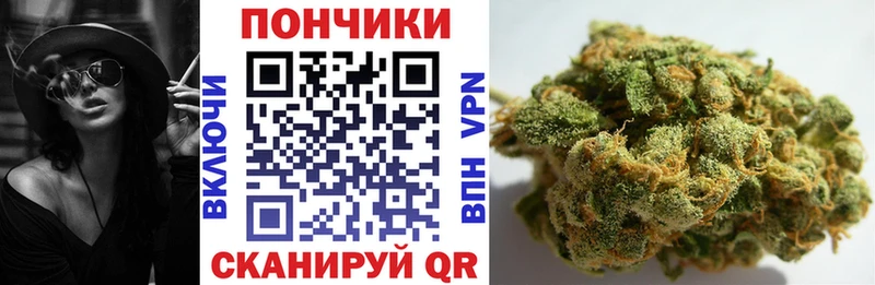 Бошки марихуана SATIVA & INDICA  блэк спрут зеркало  Салаир 